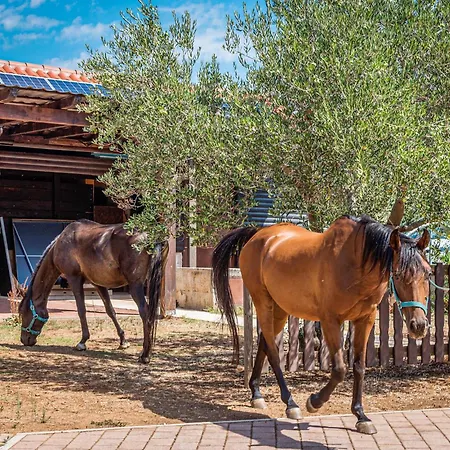 Cozy In Ivinj With Jacuzzi Sovlje