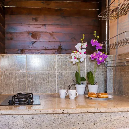 Tatil Evi Cozy In Ivinj With Jacuzzi Sovlje